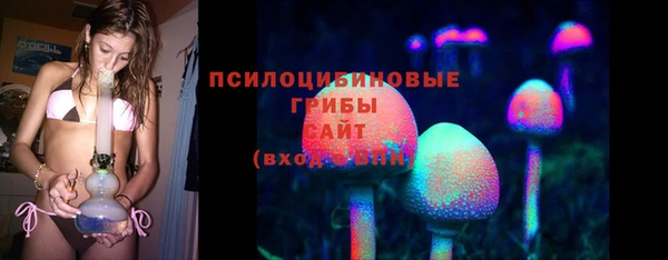 ПСИЛОЦИБИНОВЫЕ ГРИБЫ Горно-Алтайск