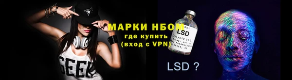 спиды Горняк
