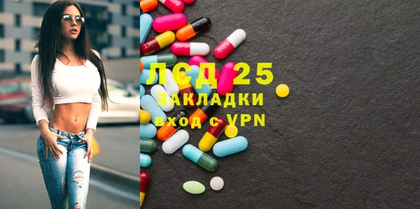 ПСИЛОЦИБИНОВЫЕ ГРИБЫ Горно-Алтайск