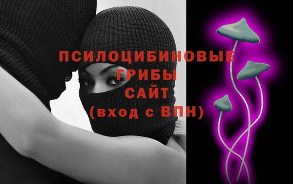 спиды Горняк