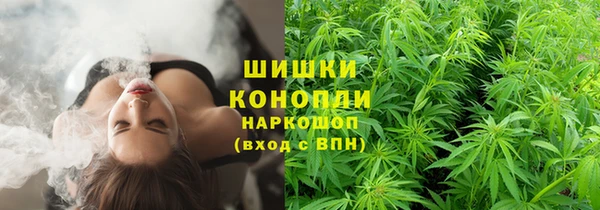 трава Горнозаводск