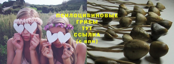 спиды Горняк