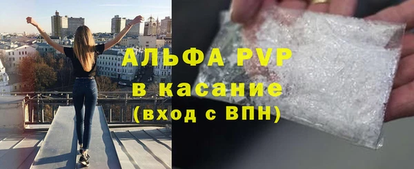спиды Горняк