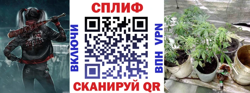 где купить наркотик  ОМГ ОМГ как зайти  Бошки Шишки ГИДРОПОН  Мончегорск 